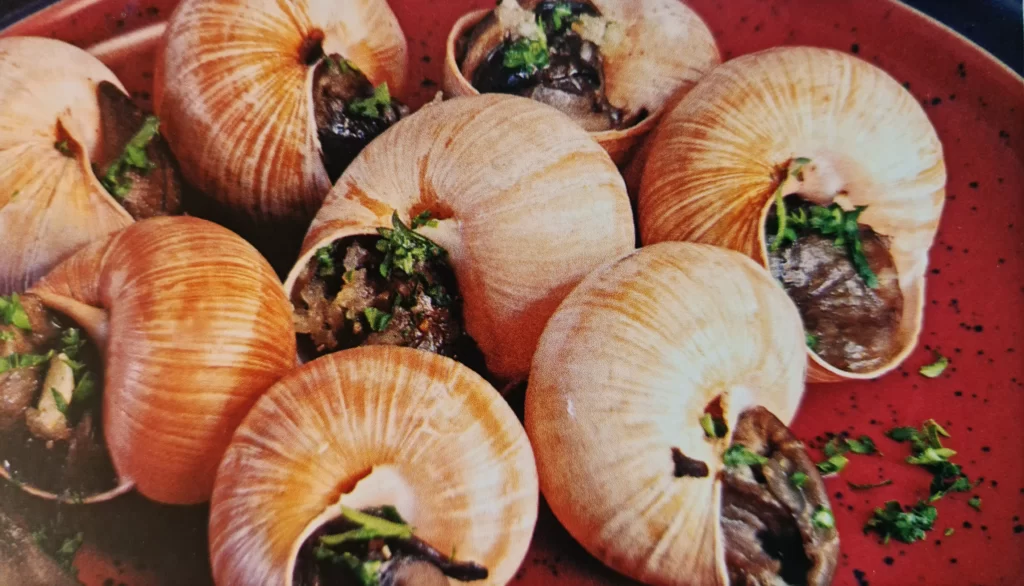 Receita de Escargots Gratinados à Bourguignonne