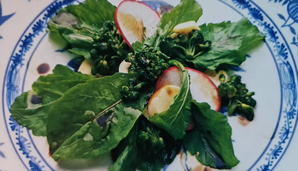 Salada Campestre